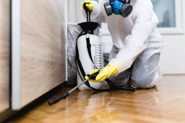 Best Local Pest Control Services  in Lester Prairie, MN