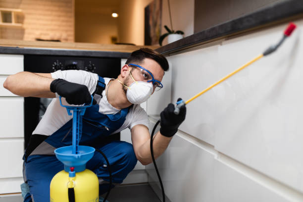 Best Exterminator Services  in Lester Prairie, MN