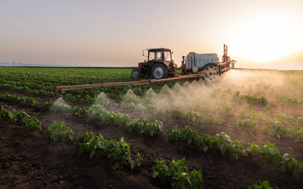 Best Commercial Pest Control Services  in Lester Prairie, MN