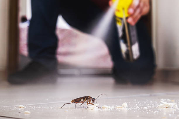 Best Flea Control Services  in Lester Prairie, MN