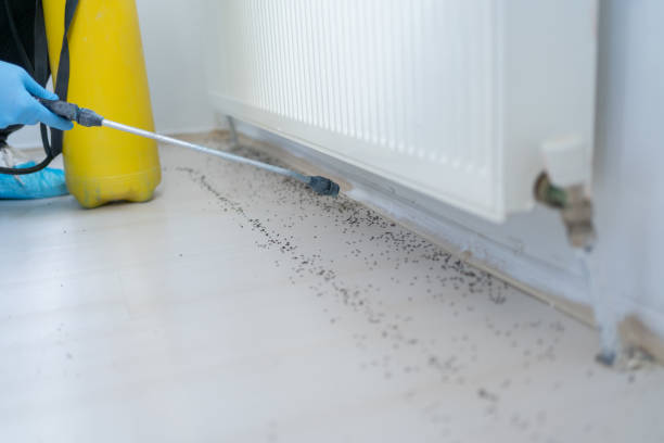 Best Emergency Pest Control  in Lester Prairie, MN