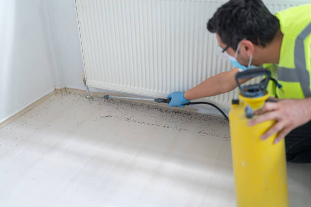 Best Exterminator Services  in Lester Prairie, MN