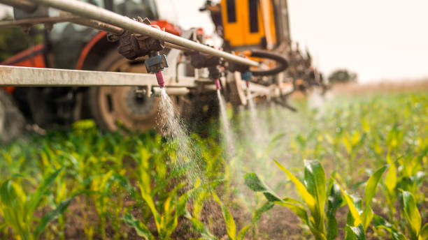 Best Pest Control Near Me  in Lester Prairie, MN